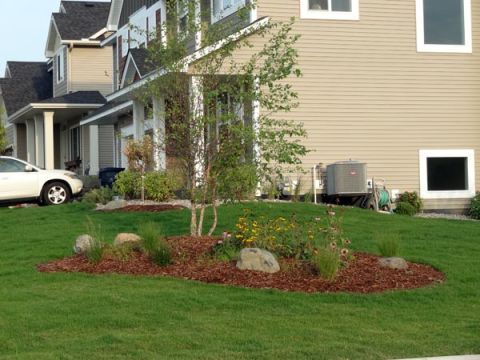 landscape berm ideas