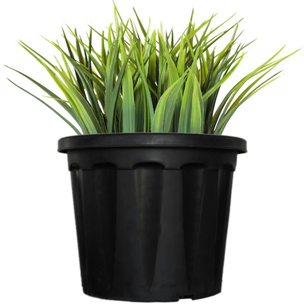 Round Plastic Pot Black- C - Mr. Farmer